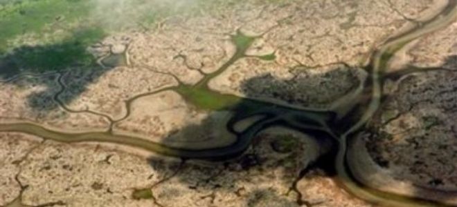 Экологические проблемы реки амазонка и пути их решения