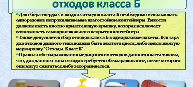 Все что нужно знать для утилизации биологических отходов по правилам