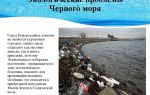 Экологические проблемы черного моря и его берегов кратко