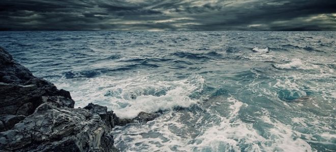 Условия в океане и развитие морских льдов