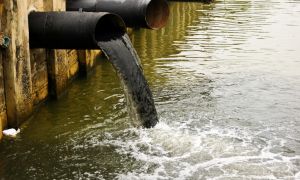 Загрязнение рек воды отходами – источники, причины и последствия