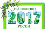 2017 год в россии посвящается решению экологическим проблемам