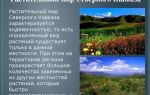 Природа северного кавказа с фото и описанием | животные и растения северного кавказа