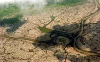Экологические проблемы реки амазонка и пути их решения