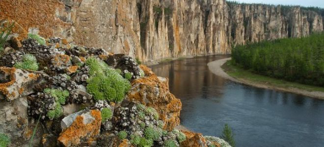 Природа якутии в фотографиях | картинки республики саха