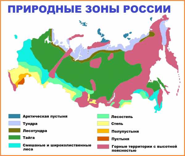 Какая самая лучшая сим карта в россии